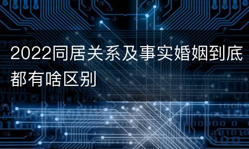 2022同居关系及事实婚姻到底都有啥区别