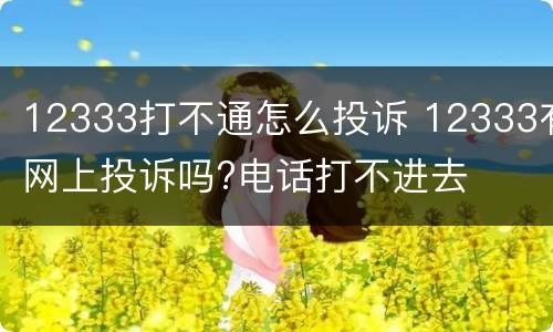 12333打不通怎么投诉 12333有网上投诉吗?电话打不进去