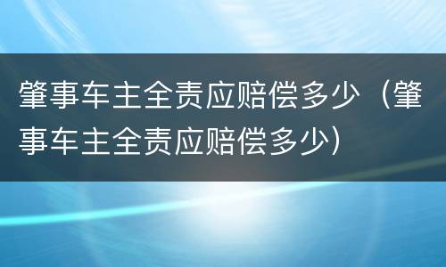 肇事车主全责应赔偿多少（肇事车主全责应赔偿多少）