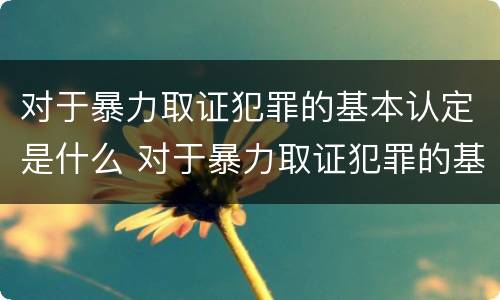 对于暴力取证犯罪的基本认定是什么 对于暴力取证犯罪的基本认定是什么意思
