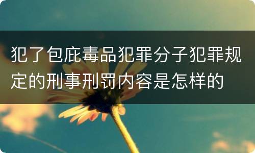 犯了包庇毒品犯罪分子犯罪规定的刑事刑罚内容是怎样的