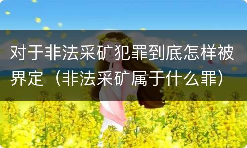 对于非法采矿犯罪到底怎样被界定（非法采矿属于什么罪）