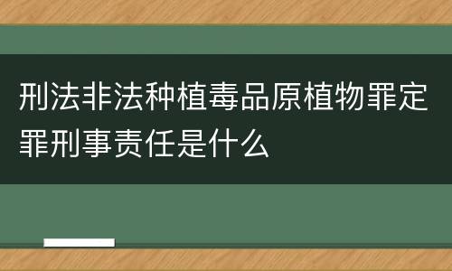 刑法非法种植毒品原植物罪定罪刑事责任是什么