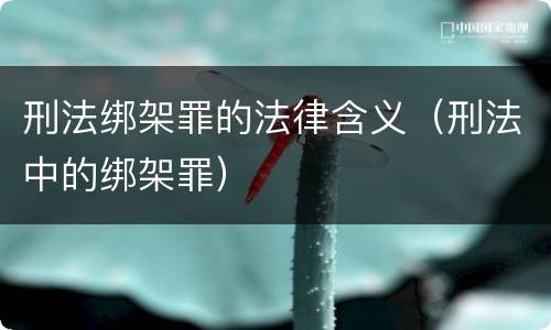 刑法绑架罪的法律含义（刑法中的绑架罪）