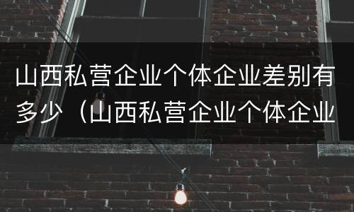 山西私营企业个体企业差别有多少（山西私营企业个体企业差别有多少个）