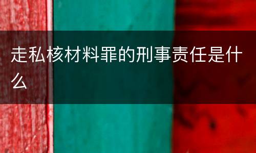 走私核材料罪的刑事责任是什么
