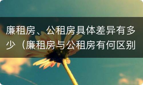 廉租房、公租房具体差异有多少（廉租房与公租房有何区别）