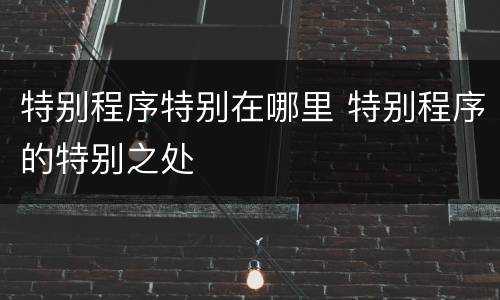 特别程序特别在哪里 特别程序的特别之处
