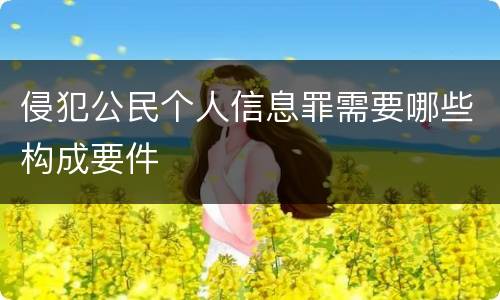侵犯公民个人信息罪需要哪些构成要件