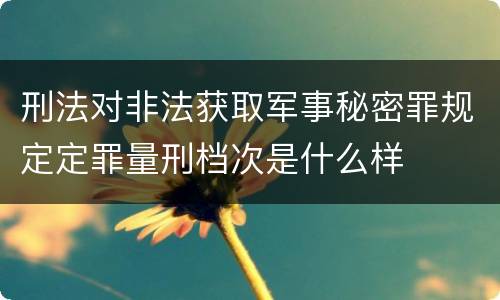 刑法对非法获取军事秘密罪规定定罪量刑档次是什么样