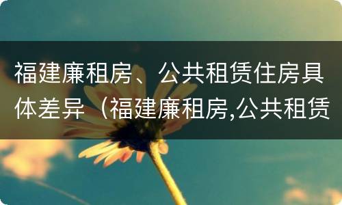 福建廉租房、公共租赁住房具体差异（福建廉租房,公共租赁住房具体差异有哪些）
