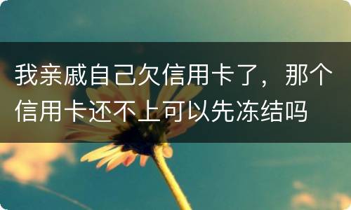 我亲戚自己欠信用卡了，那个信用卡还不上可以先冻结吗