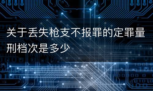 关于丢失枪支不报罪的定罪量刑档次是多少