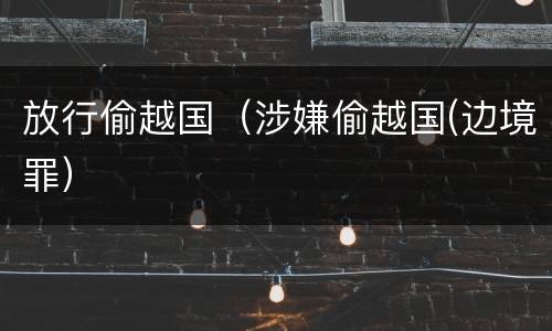 放行偷越国（涉嫌偷越国(边境罪）