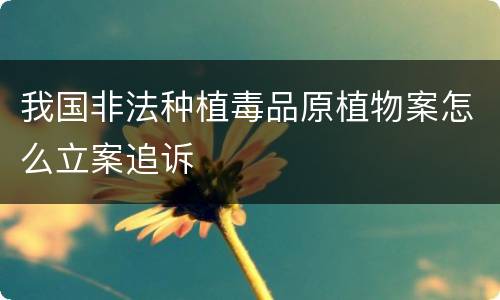 我国非法种植毒品原植物案怎么立案追诉