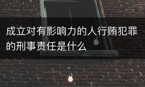 成立对有影响力的人行贿犯罪的刑事责任是什么