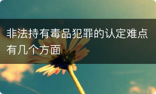 非法持有毒品犯罪的认定难点有几个方面