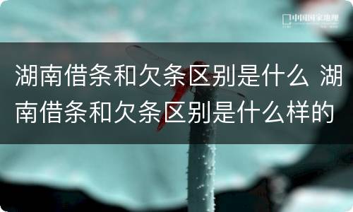 湖南借条和欠条区别是什么 湖南借条和欠条区别是什么样的