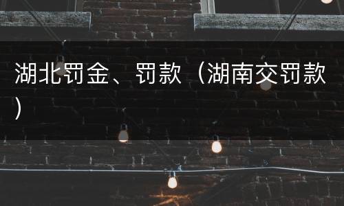 湖北罚金、罚款（湖南交罚款）