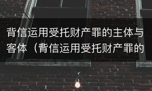 背信运用受托财产罪的主体与客体（背信运用受托财产罪的犯罪主体）
