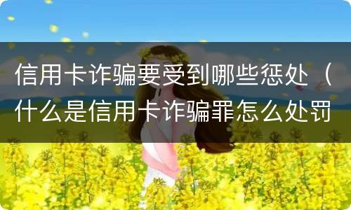 信用卡诈骗要受到哪些惩处（什么是信用卡诈骗罪怎么处罚）