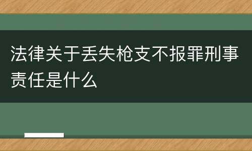 法律关于丢失枪支不报罪刑事责任是什么
