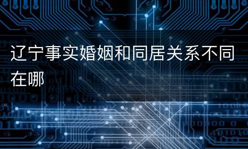 辽宁事实婚姻和同居关系不同在哪