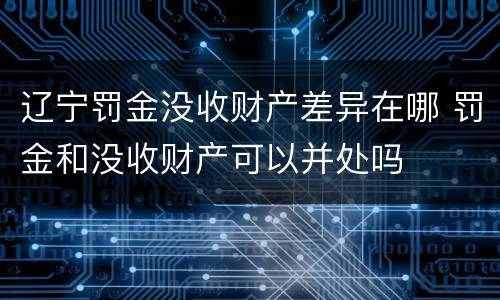 辽宁罚金没收财产差异在哪 罚金和没收财产可以并处吗