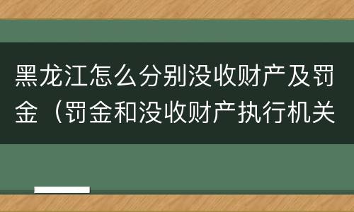 黑龙江怎么分别没收财产及罚金（罚金和没收财产执行机关）