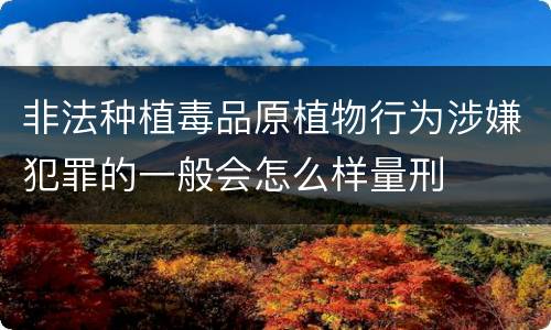 非法种植毒品原植物行为涉嫌犯罪的一般会怎么样量刑