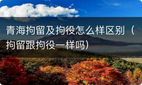 青海拘留及拘役怎么样区别（拘留跟拘役一样吗）