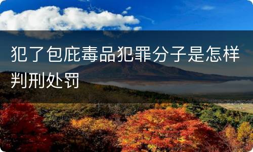 犯了包庇毒品犯罪分子是怎样判刑处罚