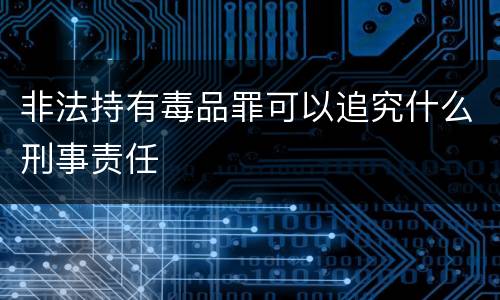 非法持有毒品罪可以追究什么刑事责任