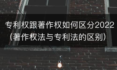 专利权跟著作权如何区分2022（著作权法与专利法的区别）