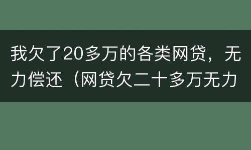 我欠了20多万的各类网贷，无力偿还（网贷欠二十多万无力偿还）