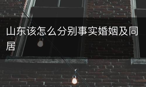 山东该怎么分别事实婚姻及同居