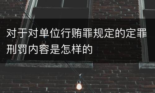 对于对单位行贿罪规定的定罪刑罚内容是怎样的