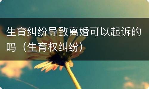 生育纠纷导致离婚可以起诉的吗（生育权纠纷）