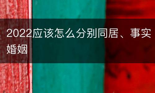 2022应该怎么分别同居、事实婚姻