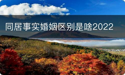 同居事实婚姻区别是啥2022