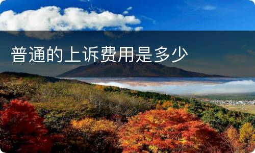 普通的上诉费用是多少