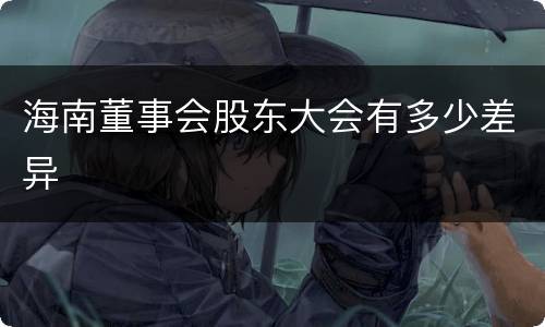 海南董事会股东大会有多少差异