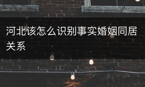 河北该怎么识别事实婚姻同居关系