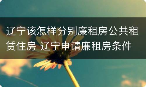 辽宁该怎样分别廉租房公共租赁住房 辽宁申请廉租房条件