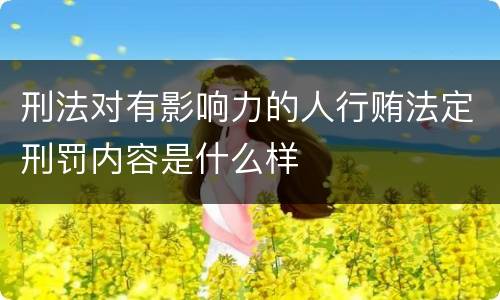 刑法对有影响力的人行贿法定刑罚内容是什么样