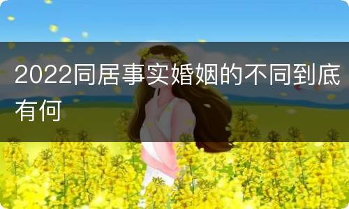 2022同居事实婚姻的不同到底有何