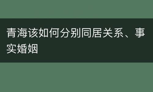 青海该如何分别同居关系、事实婚姻