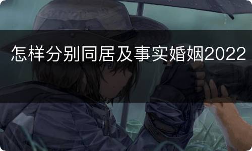怎样分别同居及事实婚姻2022