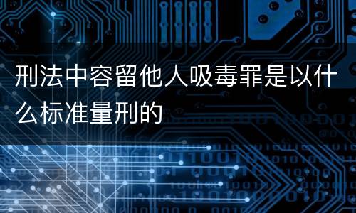 刑法中容留他人吸毒罪是以什么标准量刑的