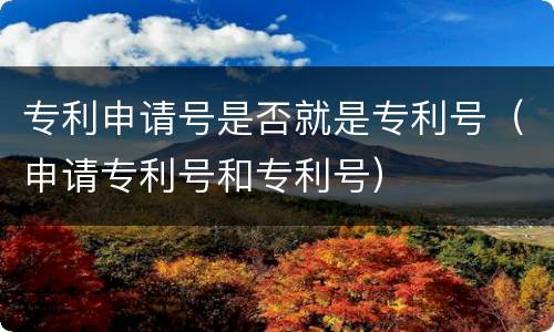 专利申请号是否就是专利号（申请专利号和专利号）